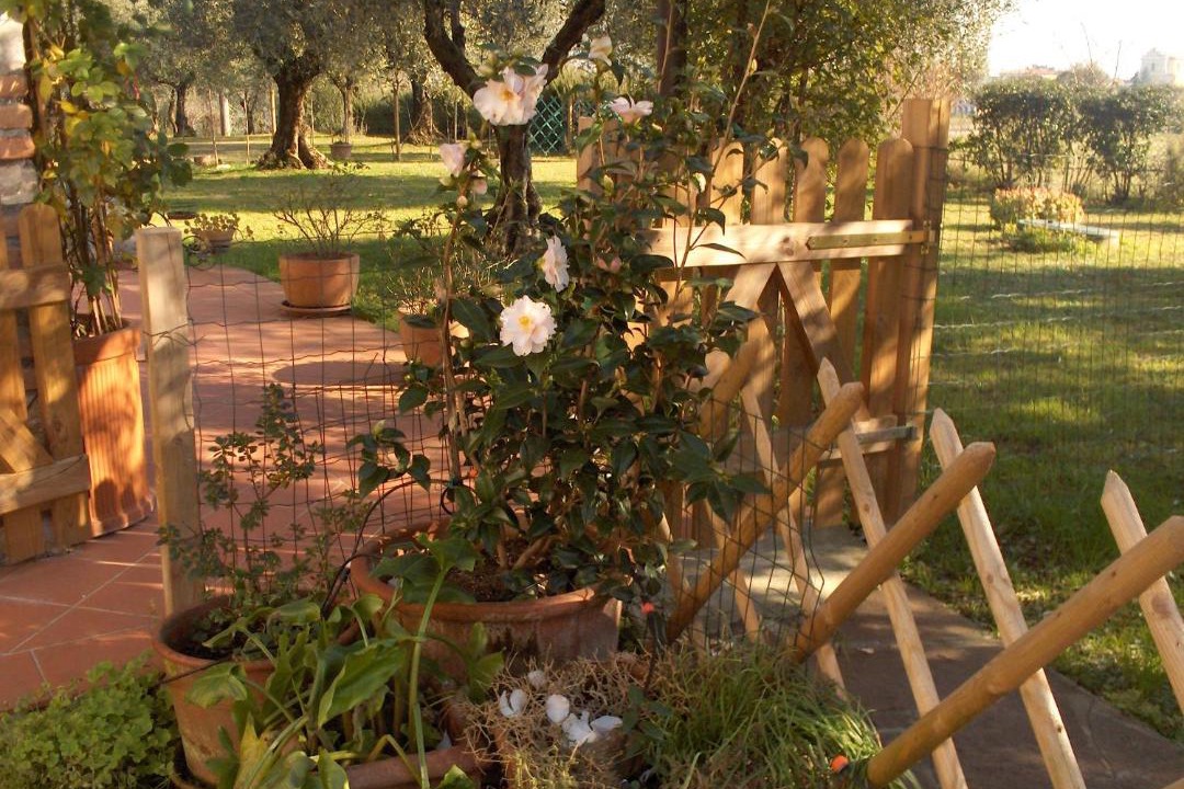 Photo of Others in Moniga del Garda