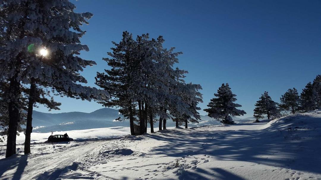 Photo of Others in Zlatibor