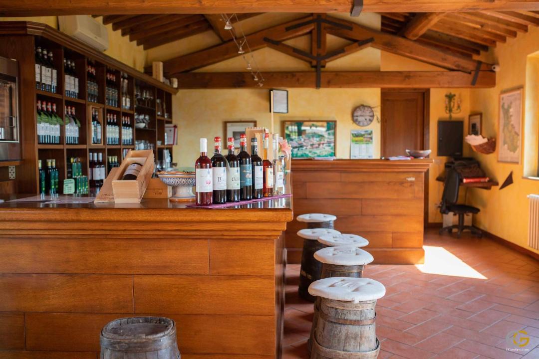 Photo of Others in Greve in Chianti