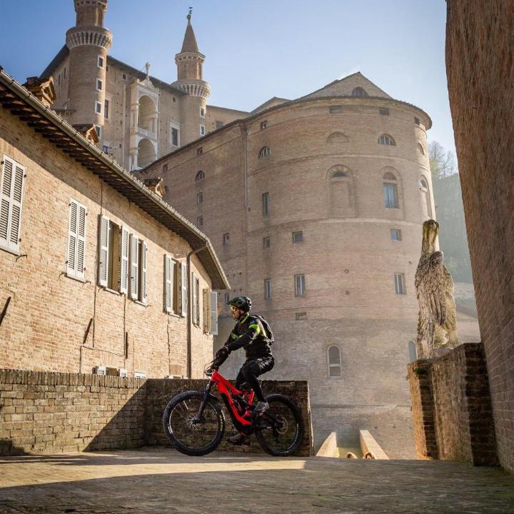 Photo of Others in Urbino
