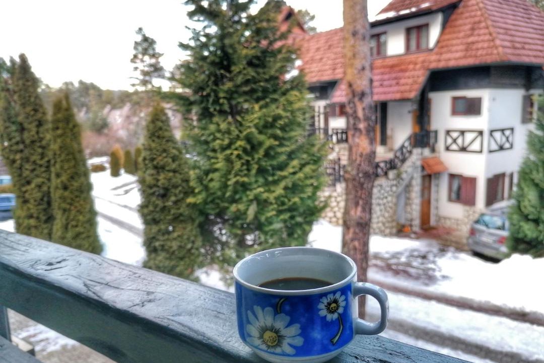 Photo of Others in Zlatibor