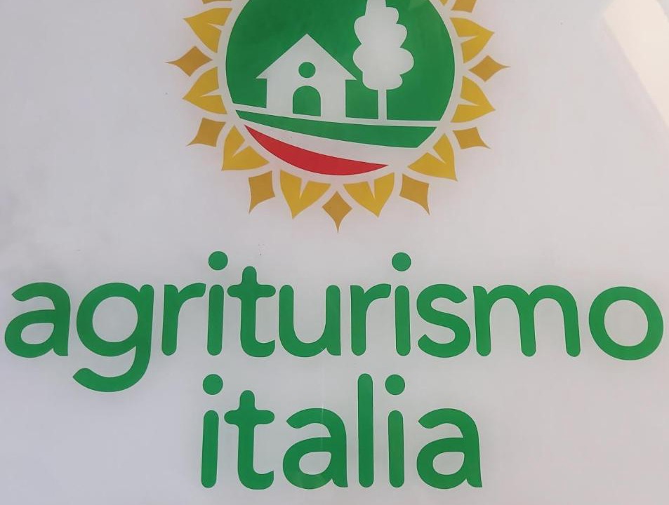 Photo of Others in San Giovanni In Marignano