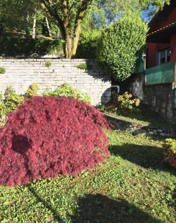 Photo of Outdoor in Premeno