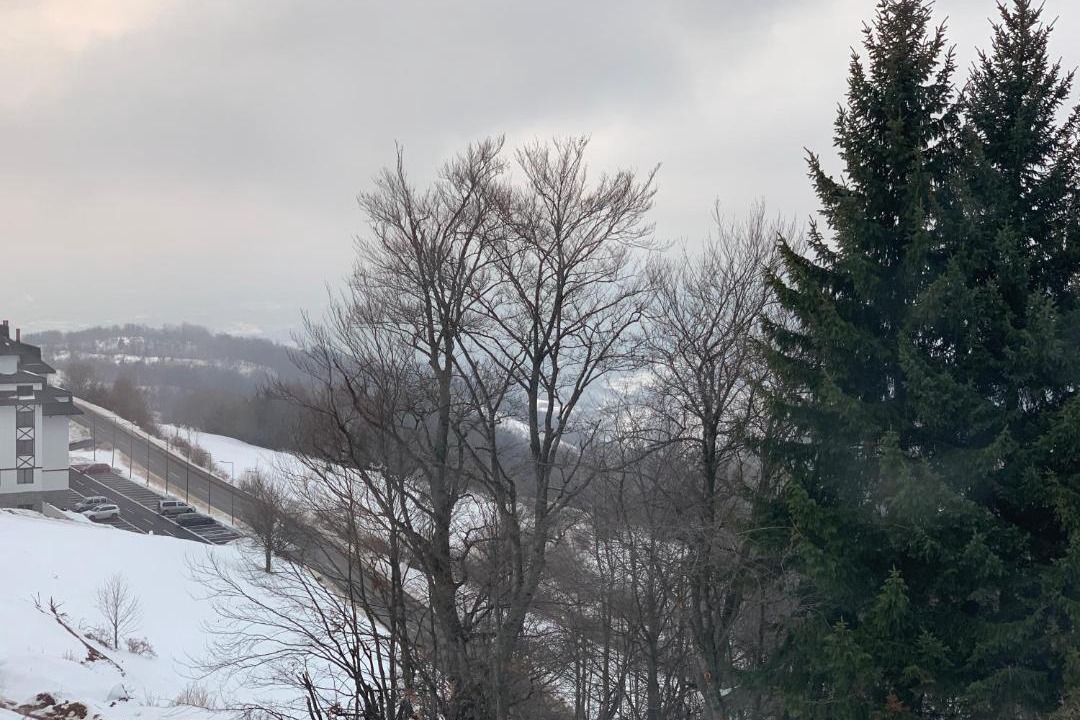 Photo of Outdoor in Lisina