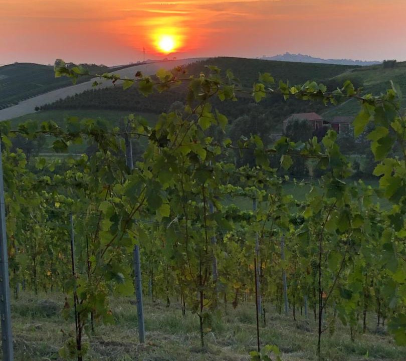 Photo of Others in San Marzano Oliveto