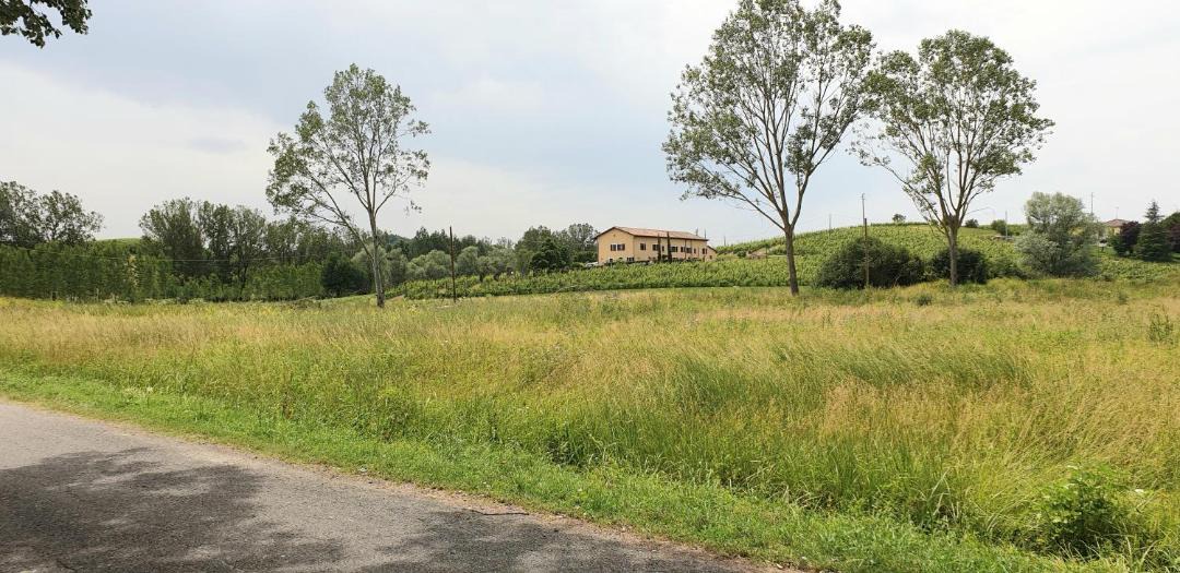 Photo of Others in San Marzano Oliveto