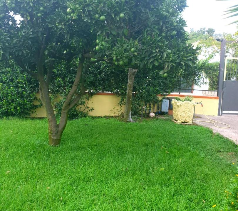 Photo of Others in Latina Lido