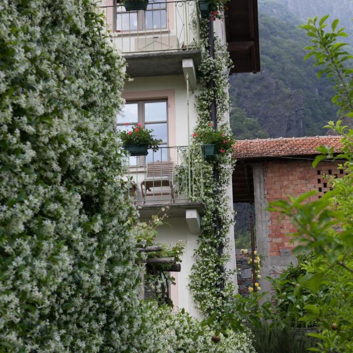 Photo of Others in Mergozzo