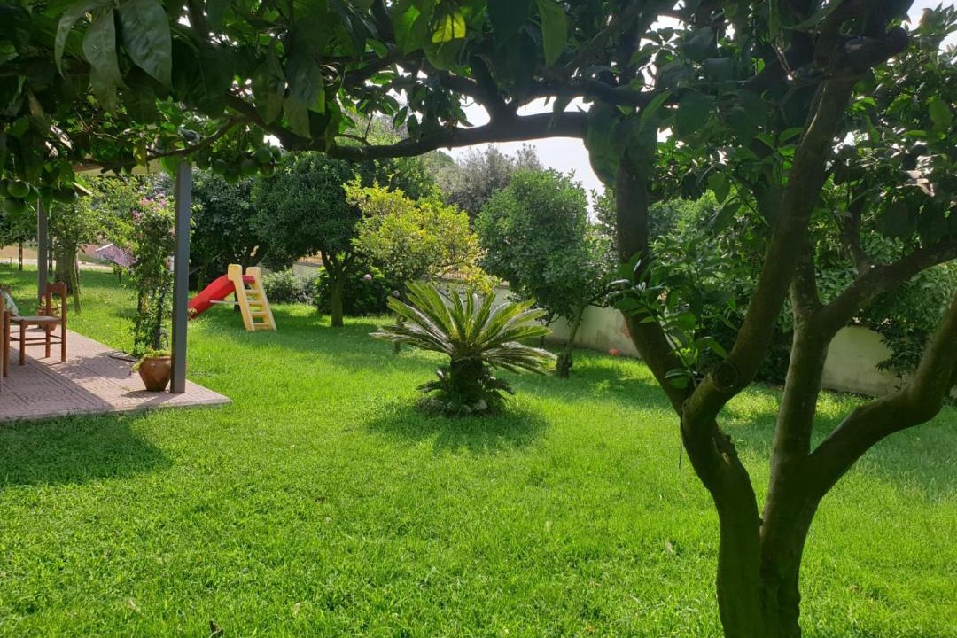 Photo of Others in Latina Lido
