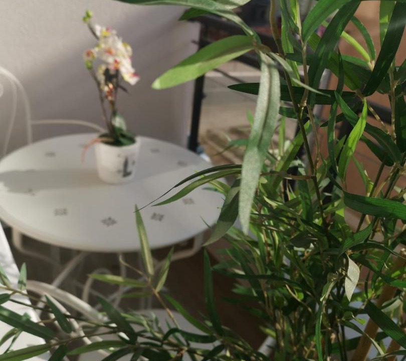 Photo of Patio Balcony in Jagodina