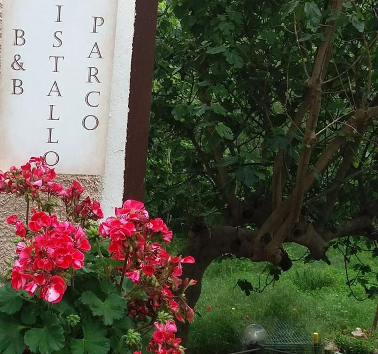 Photo of Others in Montegiardino