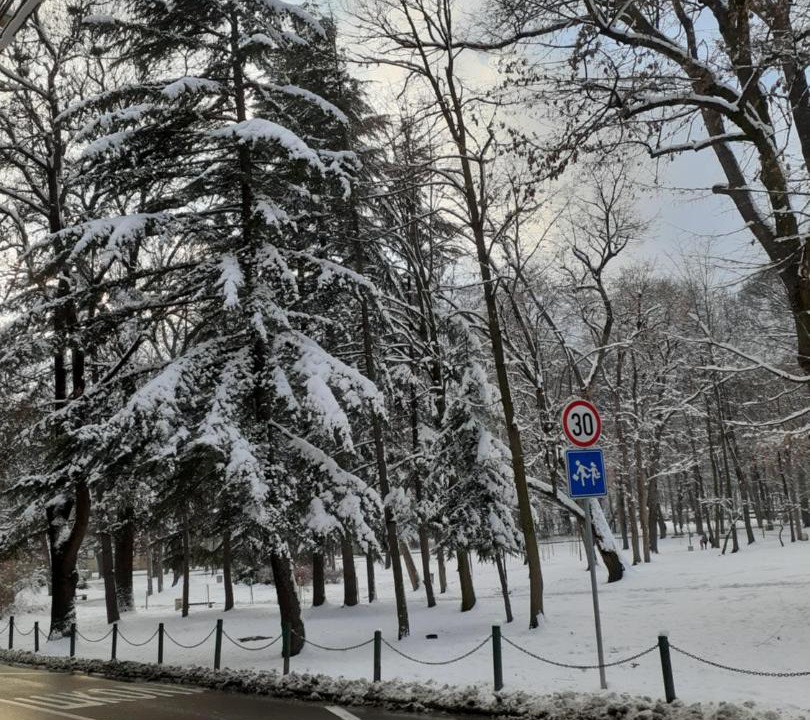 Photo of Buildings in Arandelovac