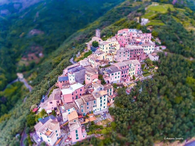 Photo of Buildings in Lavaggiorosso