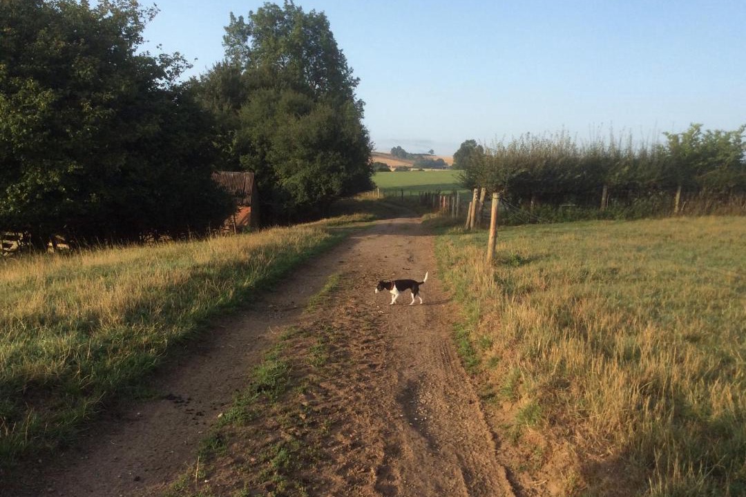 Photo of Others in Everdon