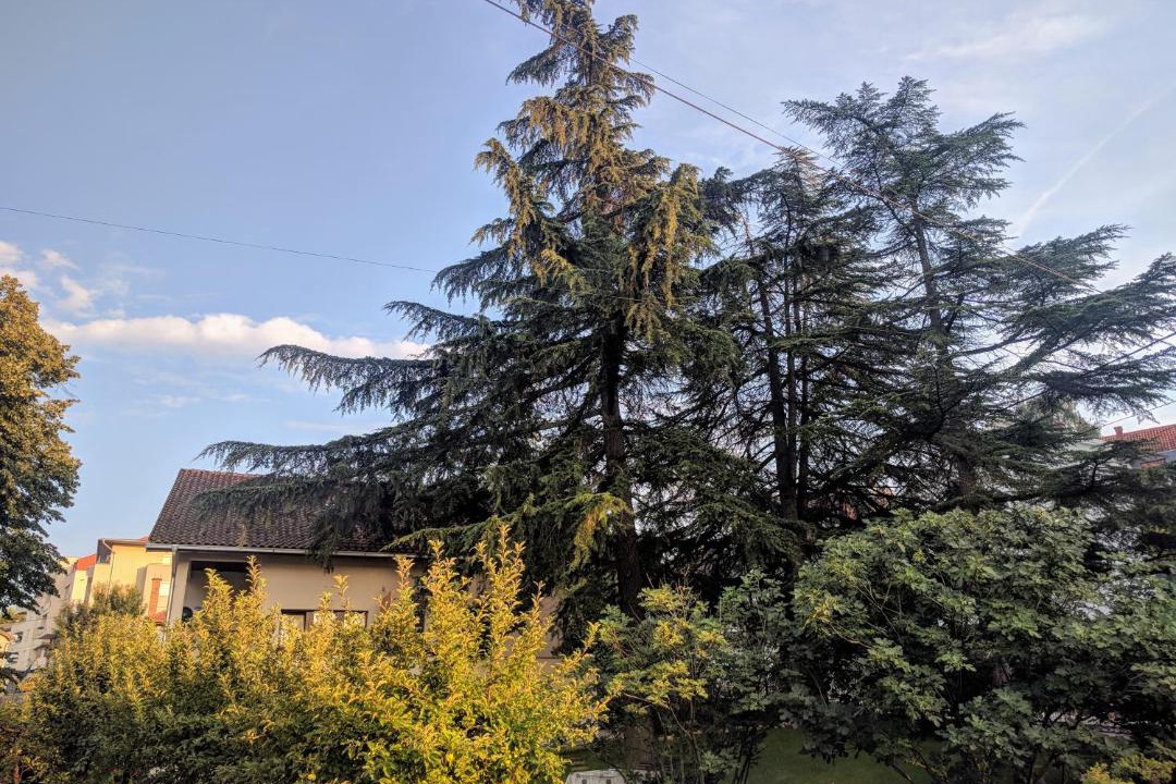 Photo of Others in Arandelovac