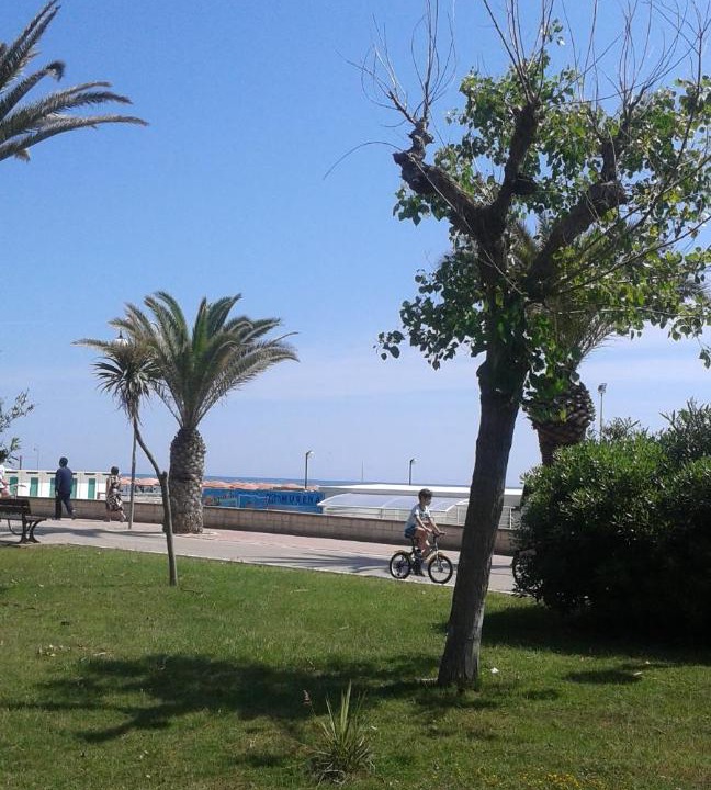 Photo of Others in Tortoreto Lido