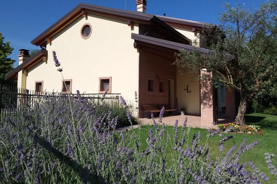 Photo of Buildings in Ca' di David
