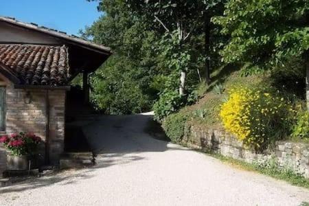 Photo of Buildings in Urbania