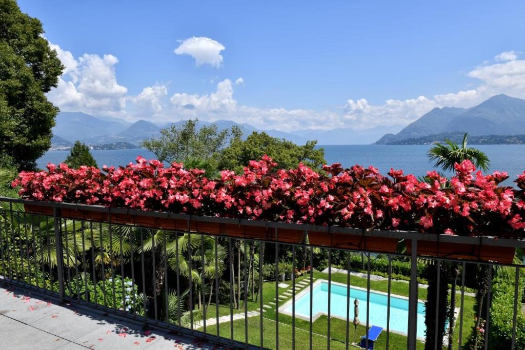 Photo of Others in Stresa