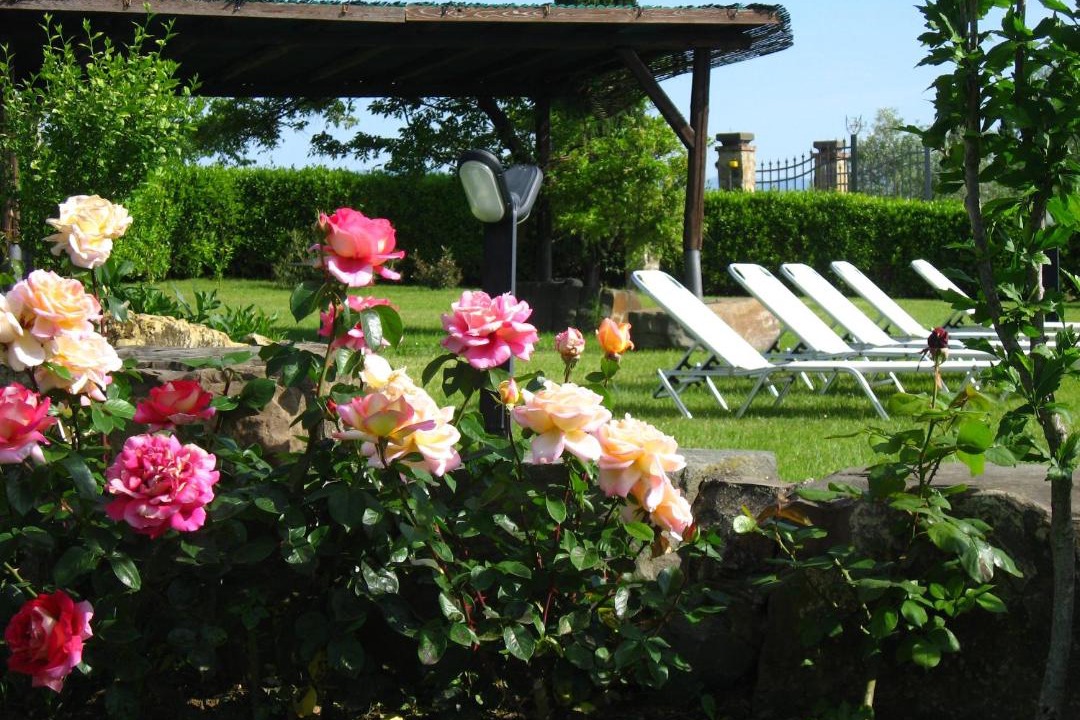 Photo of Others in Lastra a Signa