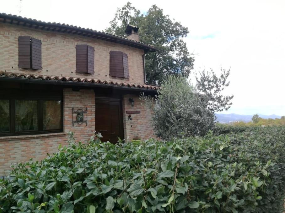 Photo of Others in Camerino
