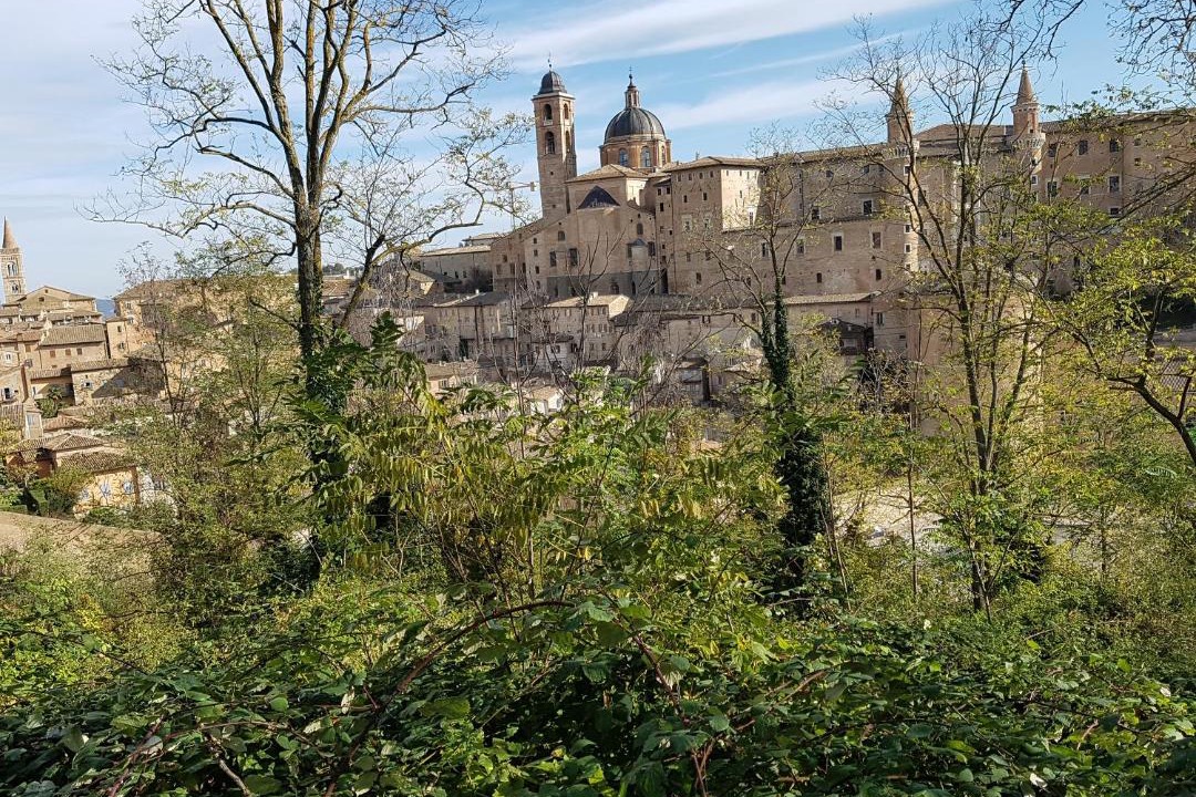 Photo of Others in Urbino