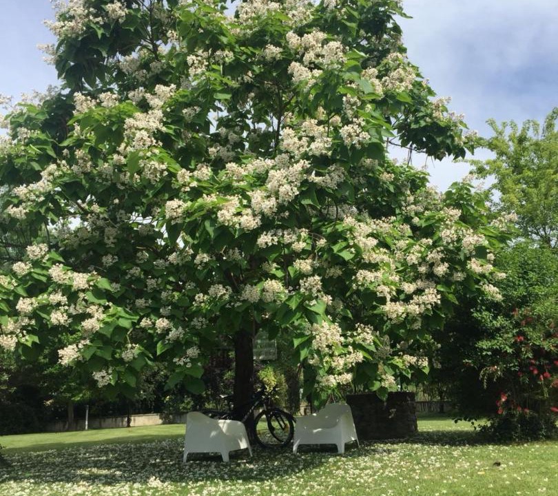 Photo of Outdoor in Pieve al Bagnoro