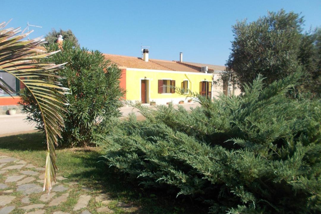 Photo of Others in Stintino