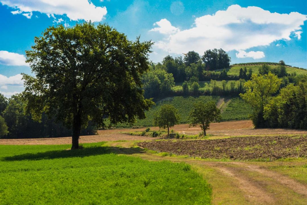 Photo of Outdoor in Vignale Monferrato