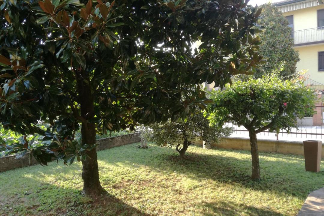 Photo of Outdoor in Creazzo