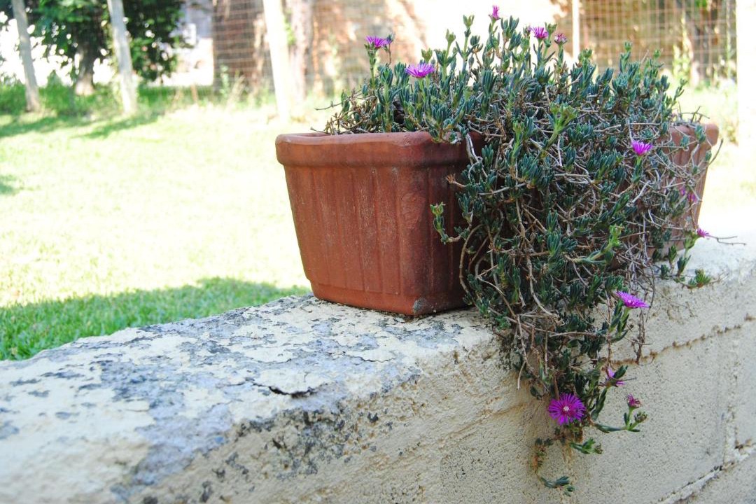 Photo of Others in Lanciano