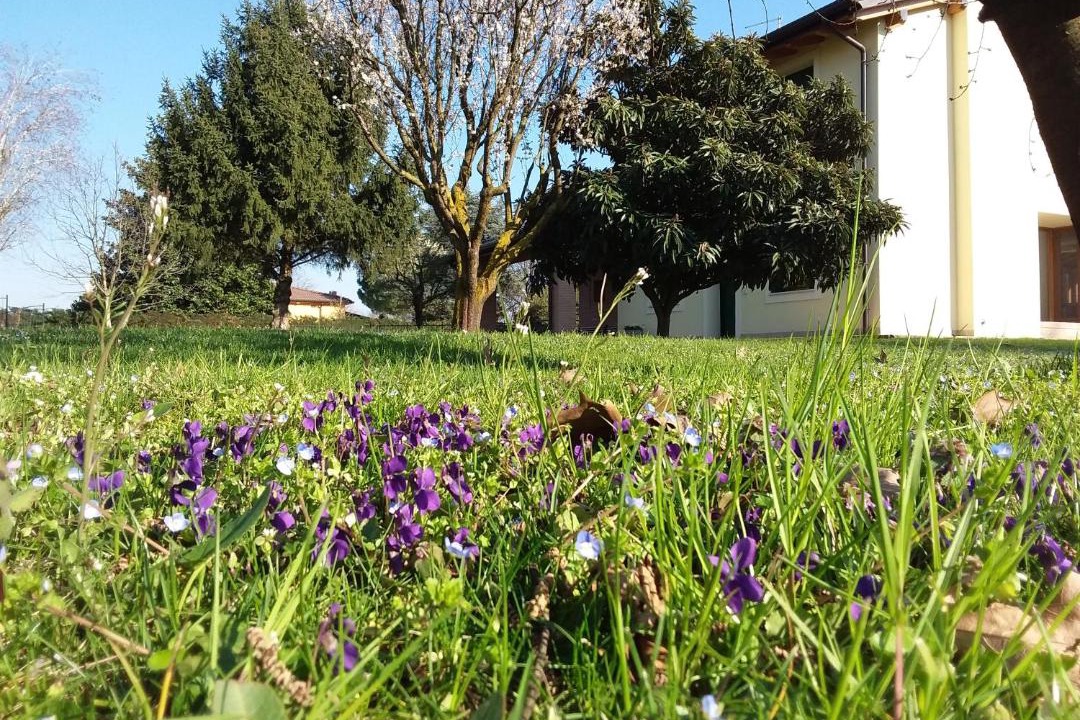 Photo of Outdoor in Ca' di David