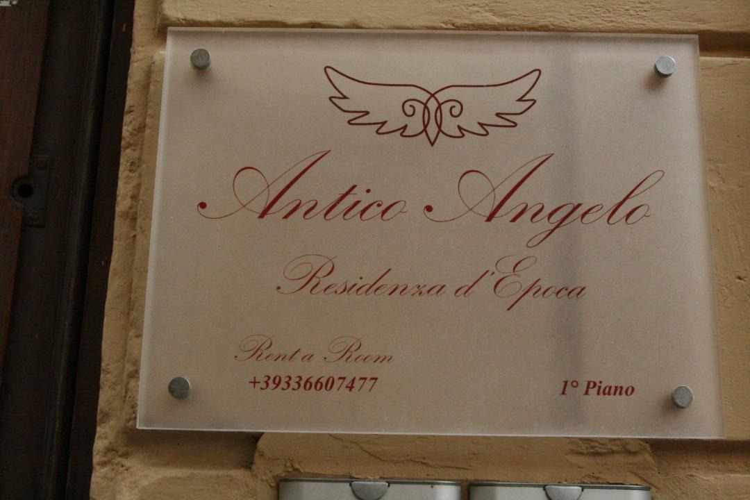 Photo of Others in Viterbo