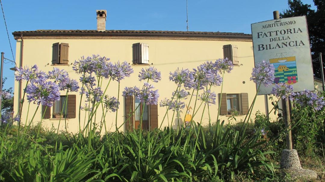 Photo of Others in San Giovanni In Marignano