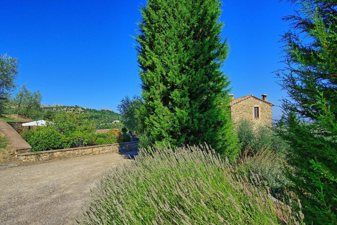 Photo of Others in Montalcino
