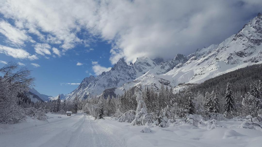 Photo of Others in Courmayeur