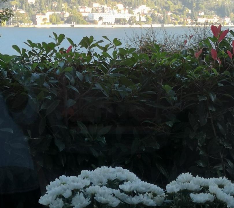 Photo of Others in San Felice del Benaco
