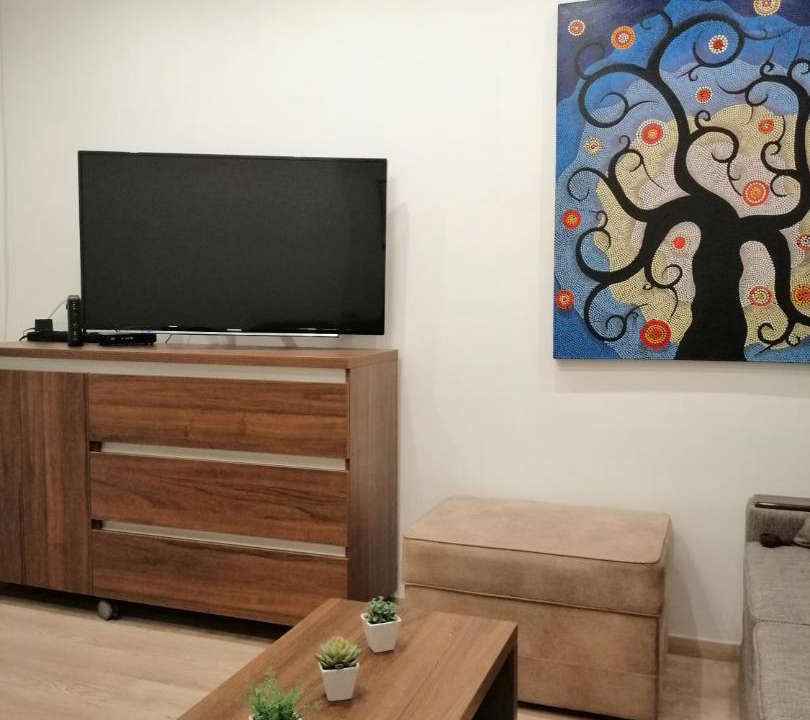 Photo of Livingroom in Vracar