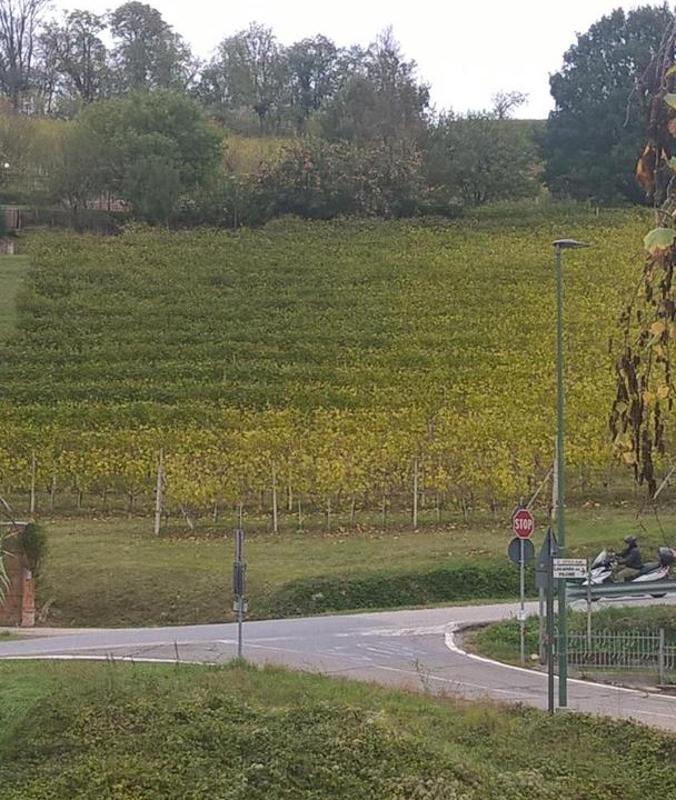 Photo of Outdoor in Alba