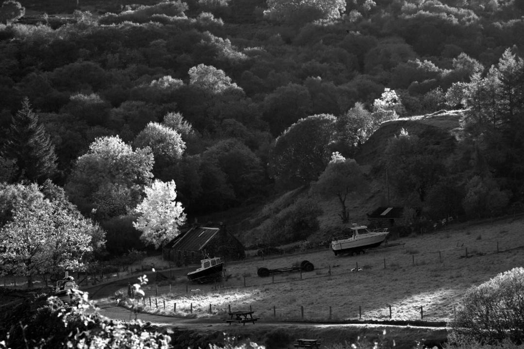 Photo of Others in Portree