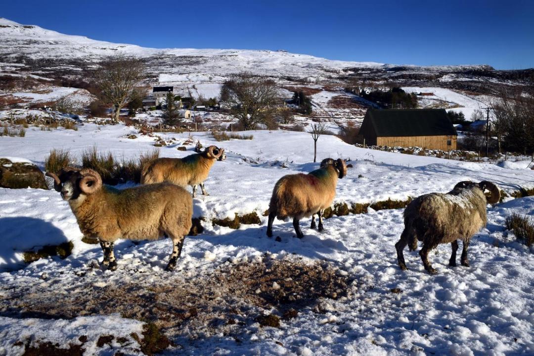 Photo of Others in Portree