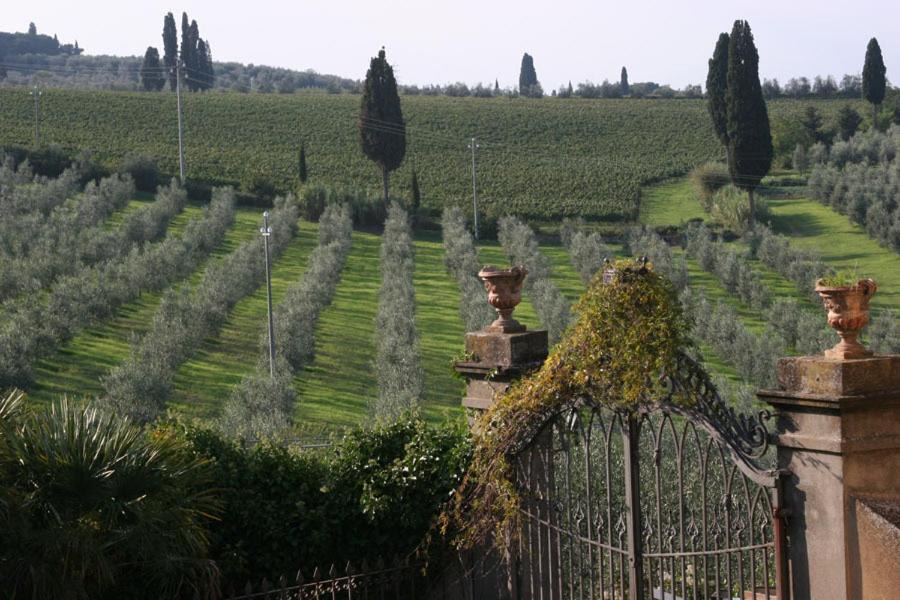 Photo of Outdoor in Impruneta