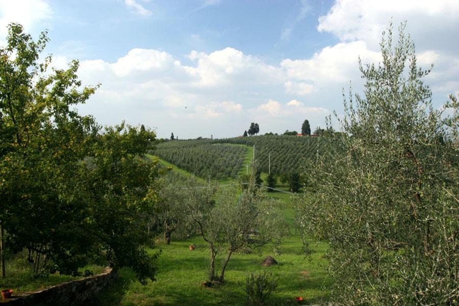 Photo of Outdoor in Impruneta