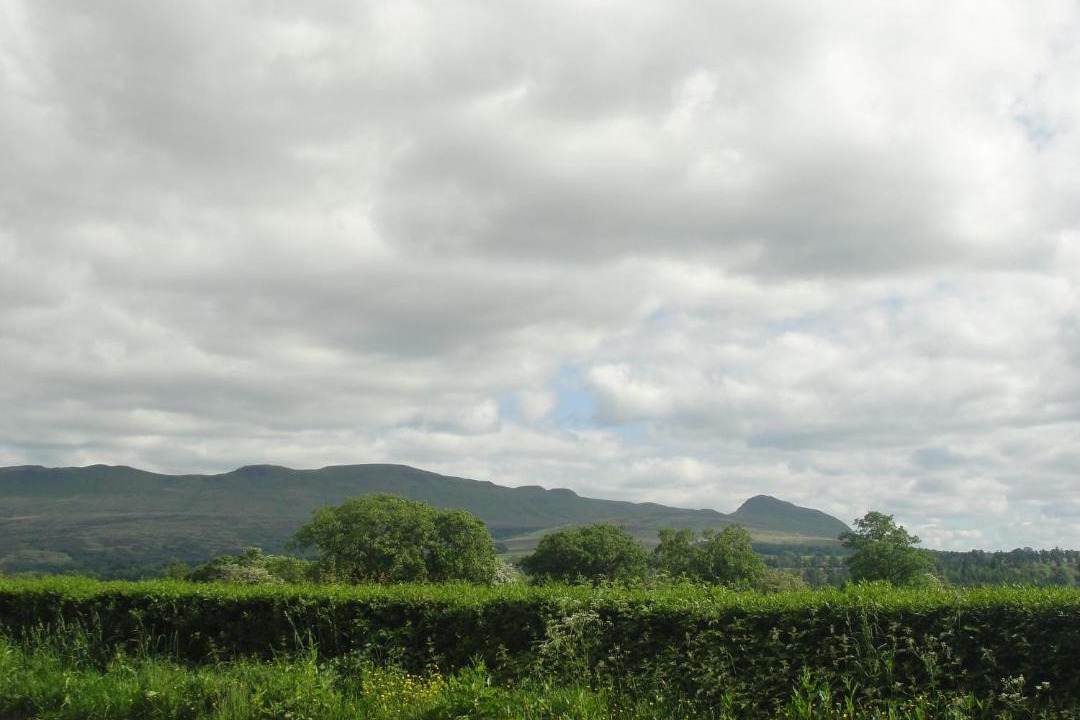 Photo of Others in Fintry