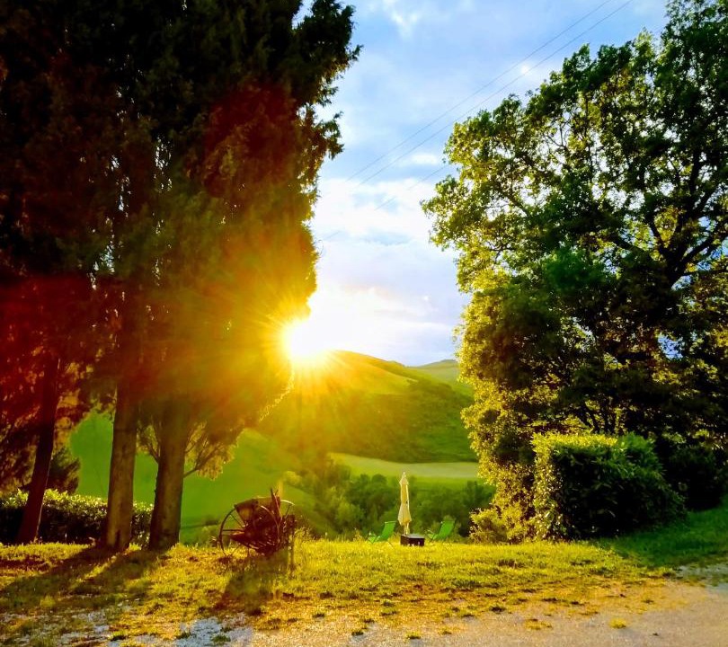 Photo of Others in Urbino