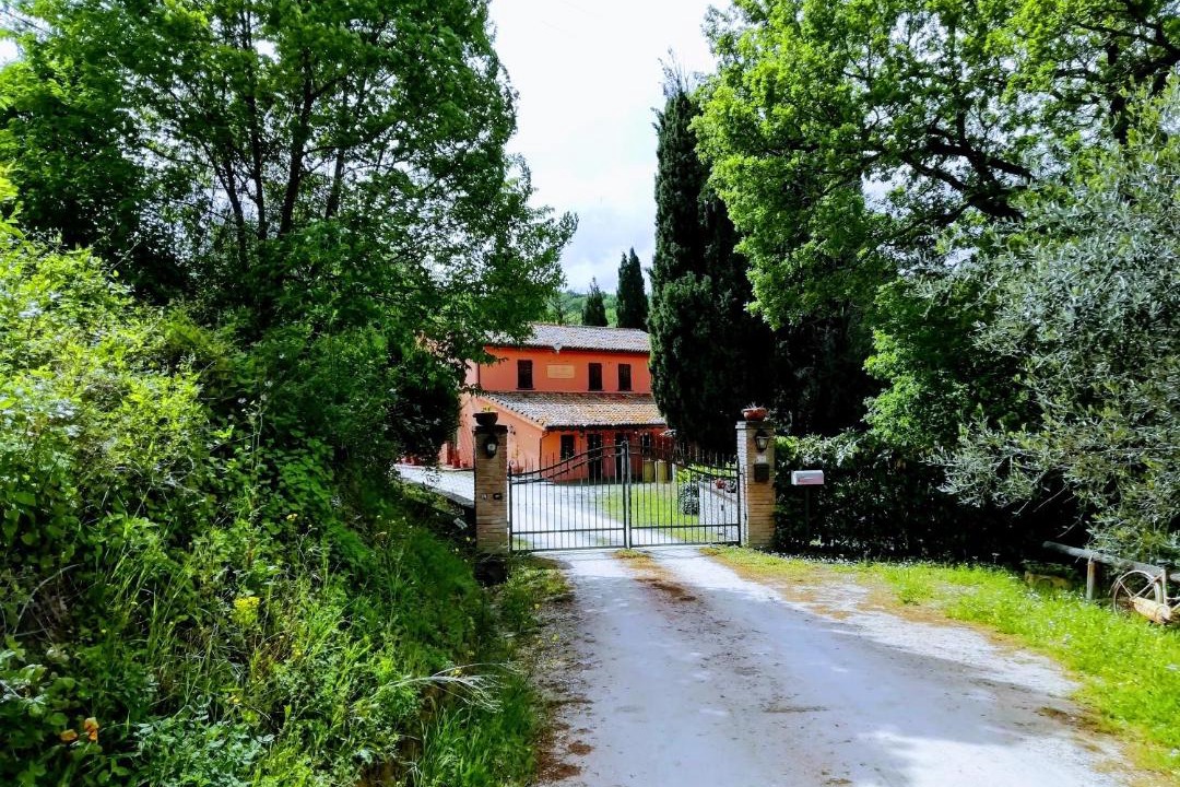 Photo of Others in Urbino