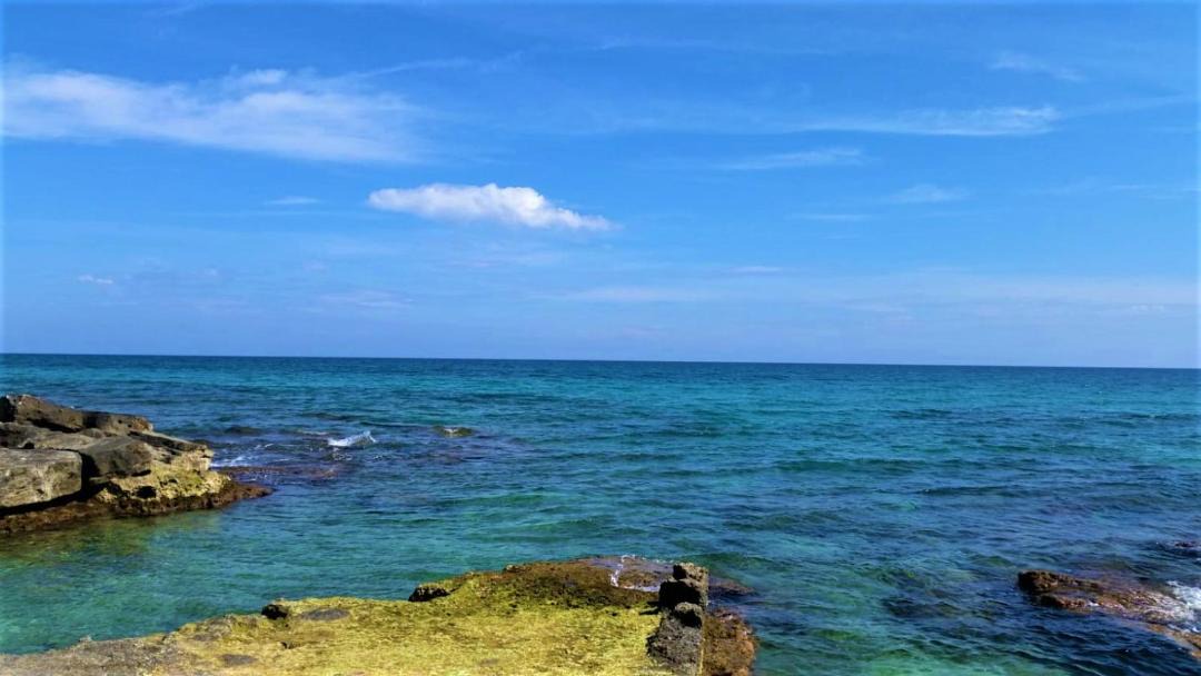 Photo of Outdoor in Cozze