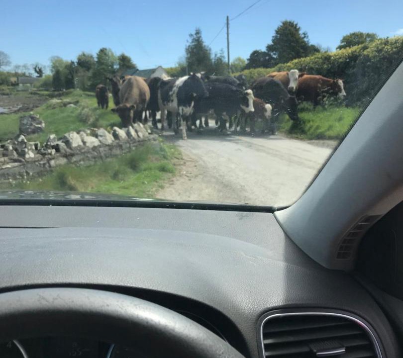 Photo of Others in Newtownards