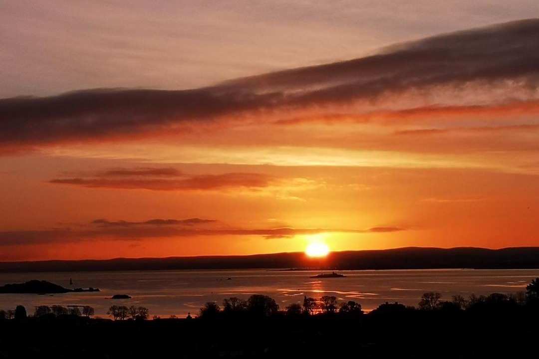 Photo of Others in Dalgety Bay