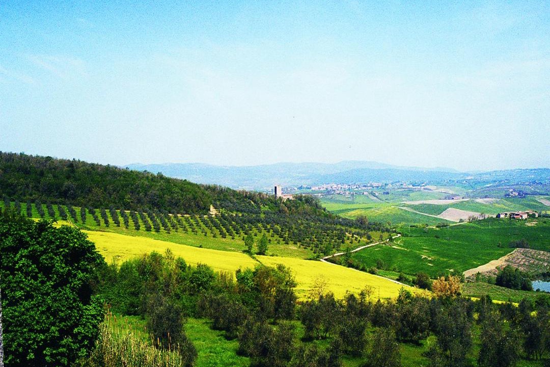 Photo of Others in Monteroni d'Arbia